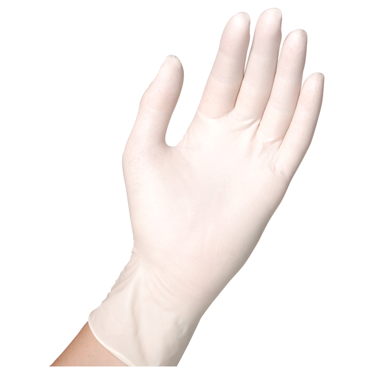 Еднократни ръкавици от латекс SEMPERGUARD LATEX POWDERED - 2 — stenso.ro Еднократни ръкавици от латекс SEMPERGUARD LATEX POWDERED - 2