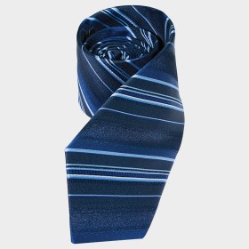 ELSA Men's tie 1