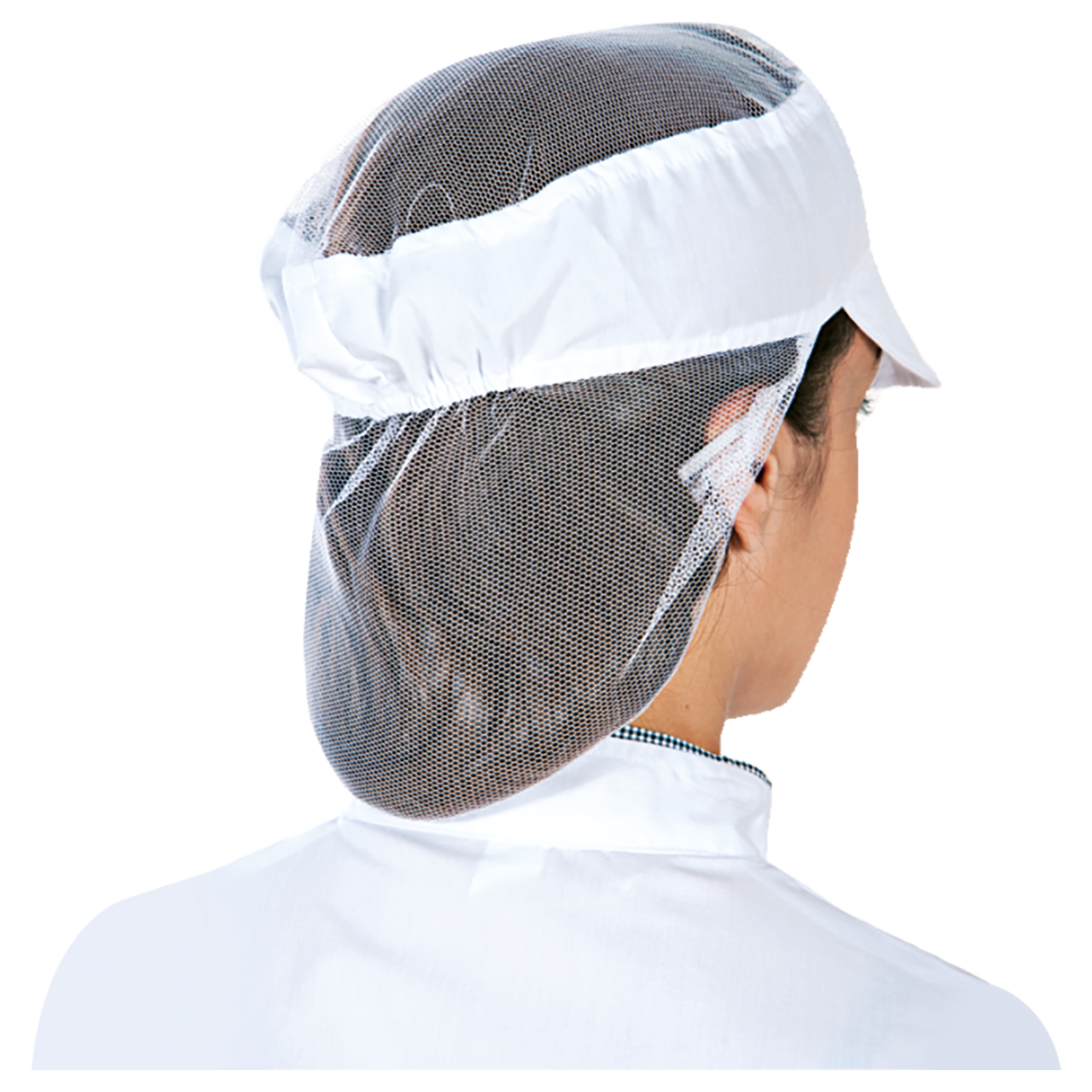 Chef's hat TULL - 2