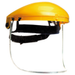 Face shield VISIGUARD