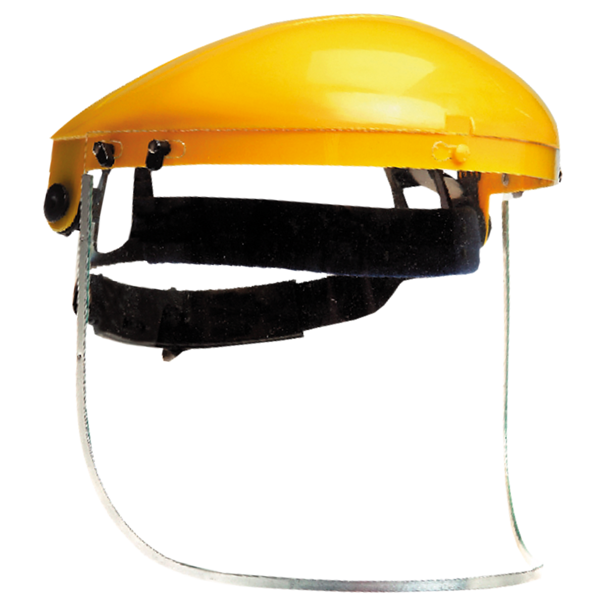 Face shield VISIGUARD