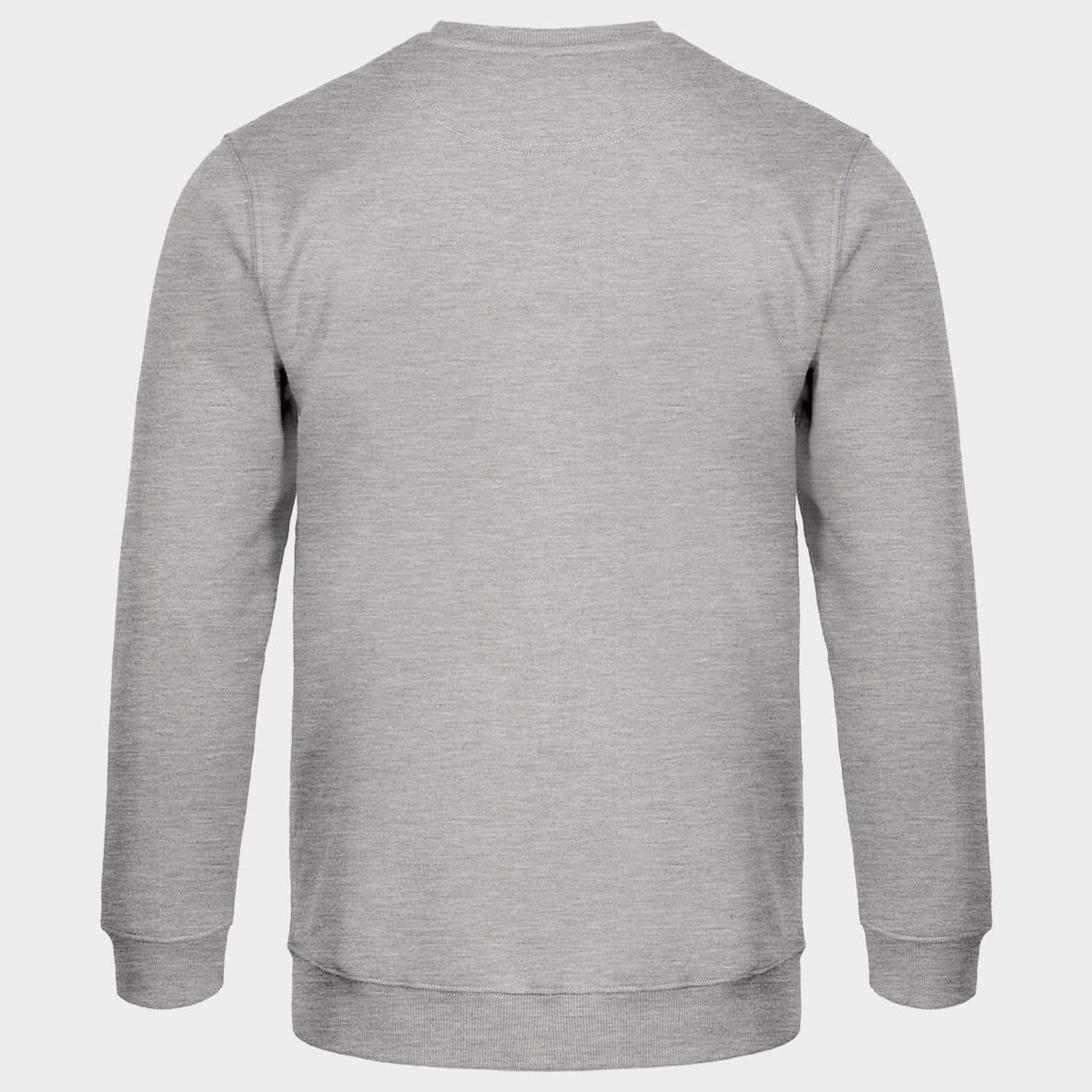 Long sleeve t-shirt REMO GREY MELANGE (TOURS) - 2