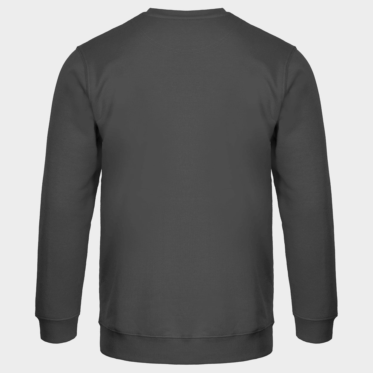 Μπλουζάκι με μακριά μανίκια REMO GREY (TOURS) - 2