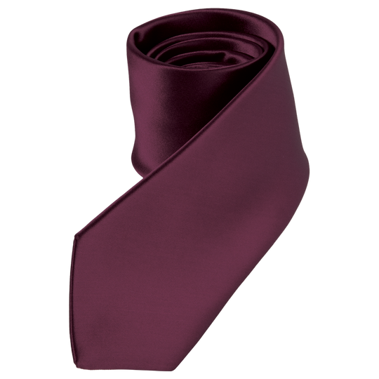 Men's tie ASTANA