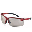 Safety glasses PERSPECTA 1900