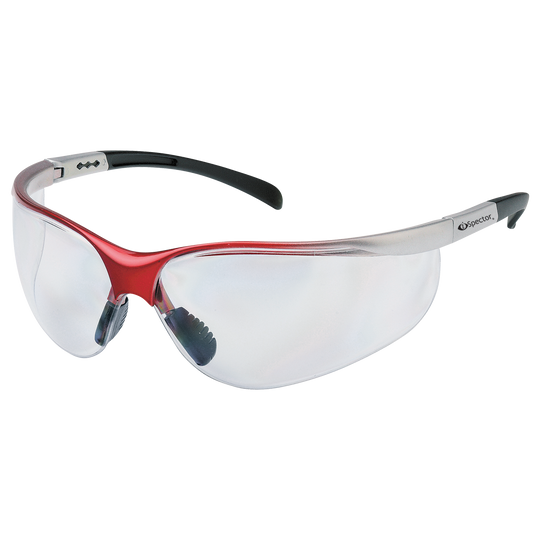 Safety glasses RAY CLEAR
