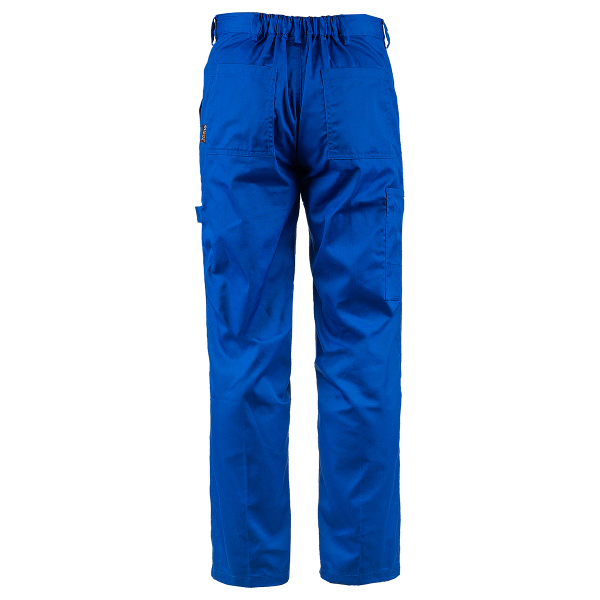 Work trousers PLUTON ROYAL BLUE - 2