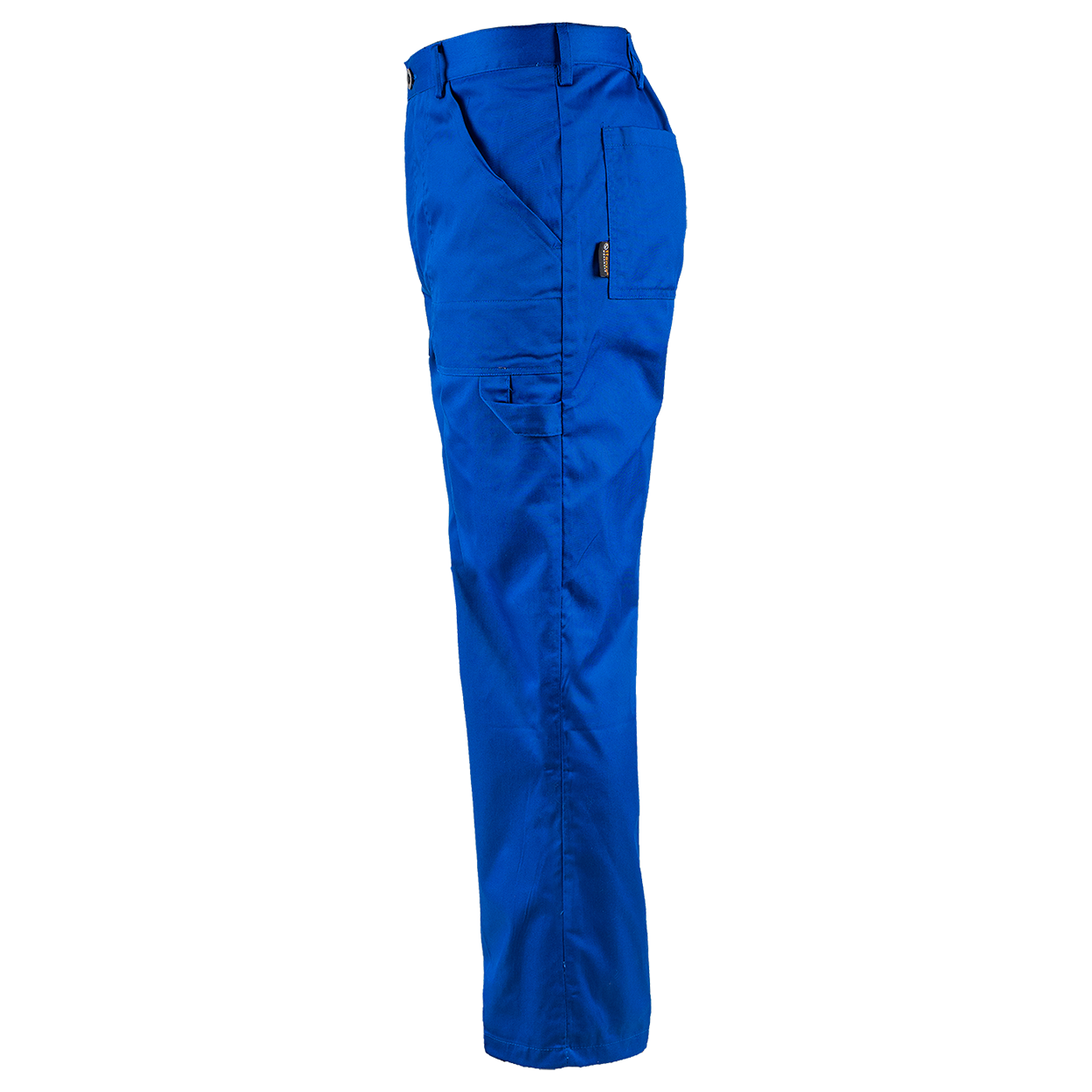 Work trousers PLUTON ROYAL BLUE - 3